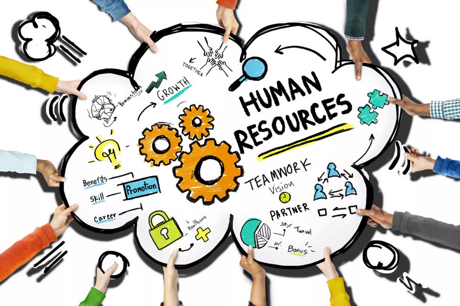 All You Need to Know About Human Resource Management Diploma Course